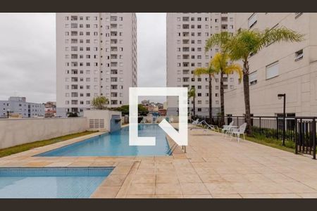 Área comum - Piscina de apartamento para alugar com 2 quartos, 59m² em Sacomã, São Paulo