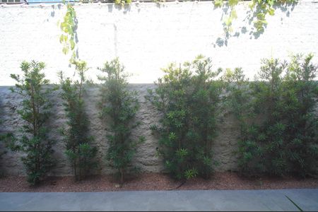 Casa à venda com 292m², 4 quartos e 4 vagasVista do Quarto 1