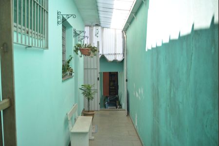 Casa à venda com 290m², 3 quartos e 3 vagasQuintal