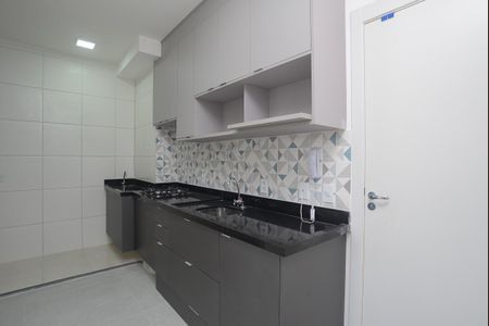 Cozinha Americana de apartamento para alugar com 1 quarto, 30m² em Várzea da Barra Funda, São Paulo