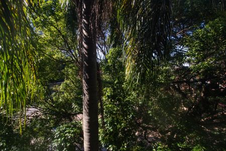 Apartamento à venda com 78m², 3 quartos e 2 vagasVista