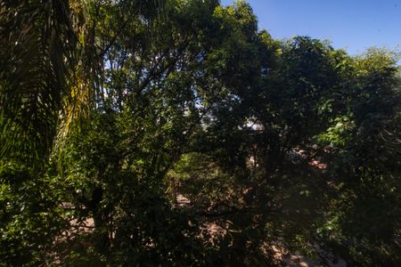 Apartamento à venda com 78m², 3 quartos e 2 vagasVista