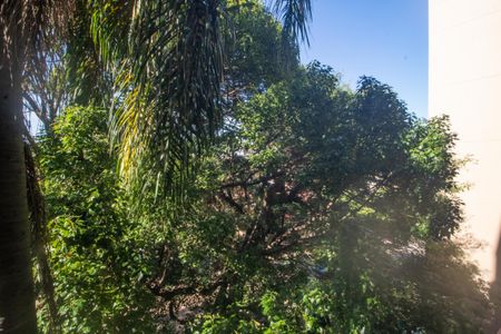 Apartamento à venda com 78m², 3 quartos e 2 vagasVista