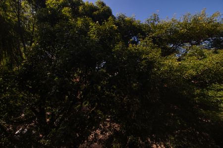 Apartamento à venda com 78m², 3 quartos e 2 vagasVista