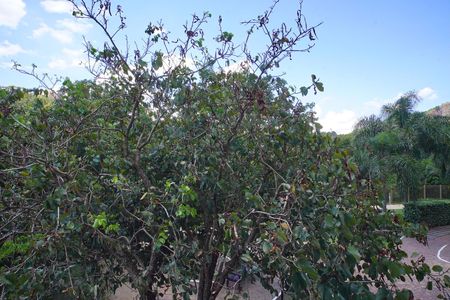 Apartamento à venda com 80m², 3 quartos e 1 vaga Apartamento à venda com 80m², 3 quartos e 1 vagaQuarto suíte