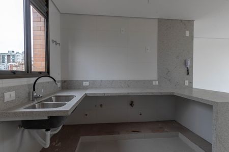Cozinha de apartamento à venda com 3 quartos, 107m² em Santo Antônio, Belo Horizonte