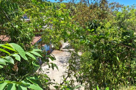 Casa para alugar com 3000m², 6 quartos e 2 vagasQuintal