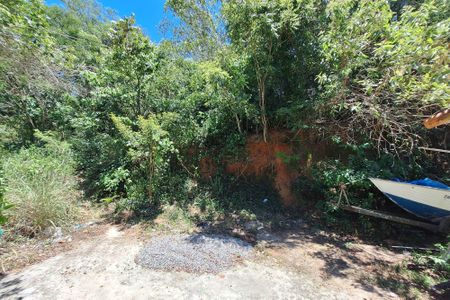 Casa para alugar com 3000m², 6 quartos e 2 vagasQuintal