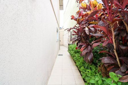 Casa para alugar com 90m², 3 quartos e 2 vagas