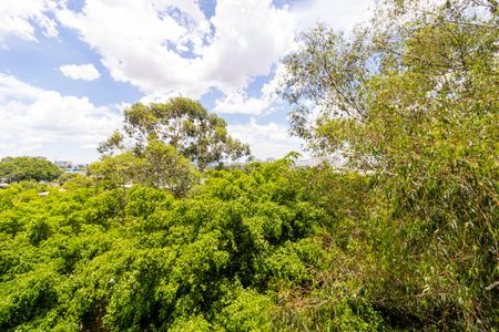 Vista Varanda da Sala de apartamento para alugar com 2 quartos, 37m² em Vila Guilherme, São Paulo