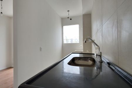 Apartamento para alugar com 45m², 2 quartos e 1 vagaCozinha 