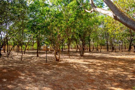 Apartamento para alugar com 55m², 2 quartos e 1 vagaÁrea Comum-Área Verde