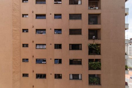 Studio para alugar com 24m², 1 quarto e sem vaga Studio para alugar com 24m², 1 quarto e sem vagaVista da Varanda