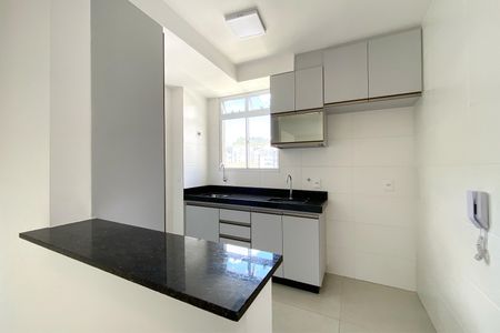Apartamento para alugar com 55m², 2 quartos e 2 vagasCozinha