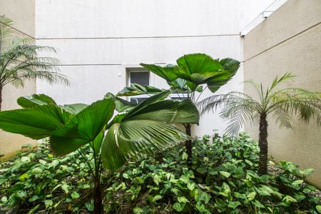 Apartamento para alugar com 201m², 3 quartos e 3 vagasDetalhe