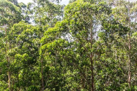 Apartamento para alugar com 201m², 3 quartos e 3 vagasVista da Varanda