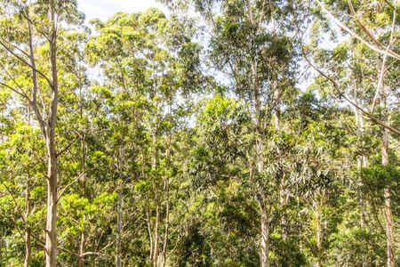 Apartamento para alugar com 201m², 3 quartos e 3 vagasVista da Suíte