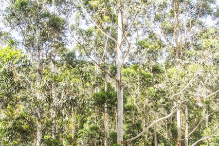 Apartamento para alugar com 201m², 3 quartos e 3 vagasVista da Suíte