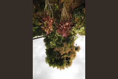 Casa de condomínio à venda com 152m², 3 quartos e 4 vagasfrutas