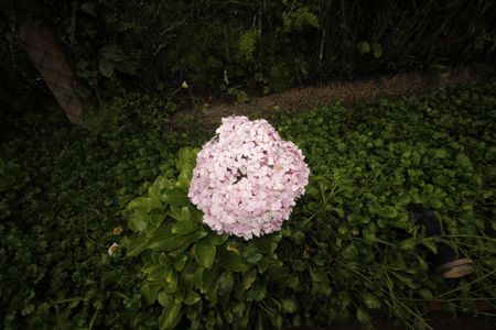 Casa de condomínio à venda com 152m², 3 quartos e 4 vagasjardim