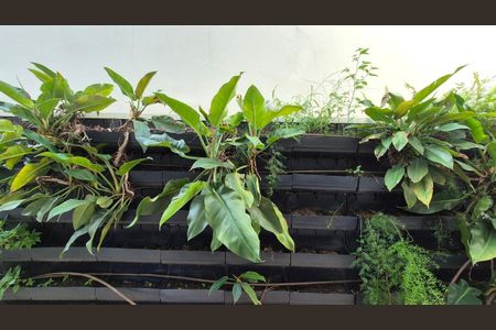 Casa de condomínio para alugar com 389m², 4 quartos e 6 vagas Casa de condomínio para alugar com 389m², 4 quartos e 6 vagasVista da Sala de Jantar