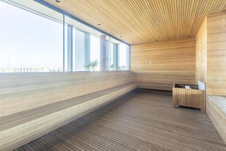 Studio para alugar com 30m², 1 quarto e sem vaga Studio para alugar com 30m², 1 quarto e sem vagaSaúna