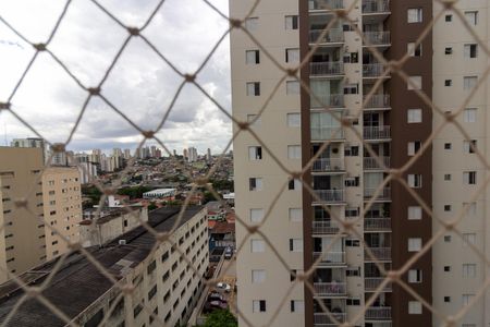 Apartamento para alugar com 69m², 3 quartos e 1 vagaVista Quarto 3