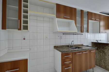 Apartamento para alugar com 71m², 2 quartos e 2 vagasCozinha - Armários