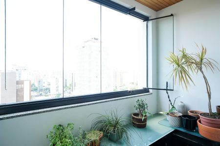 Apartamento à venda com 260m², 4 quartos e 4 vagasVaranda da sala de TV