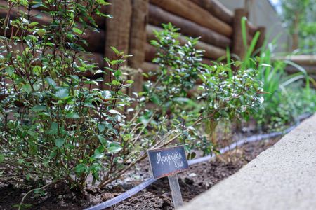 Apartamento à venda com 60m², 2 quartos e 1 vagaÁrea comum