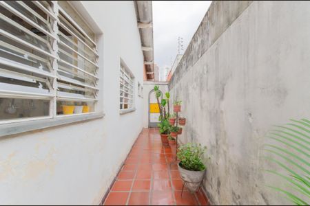 Casa para alugar com 248m², 3 quartos e 2 vagas Casa para alugar com 248m², 3 quartos e 2 vagasQuintal