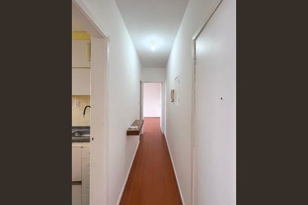 Corredor de apartamento para alugar com 1 quarto, 48m² em Cambuci, São Paulo