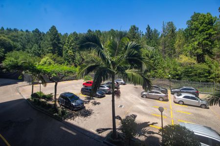 Apartamento à venda com 81m², 3 quartos e 1 vagaVista Suíte