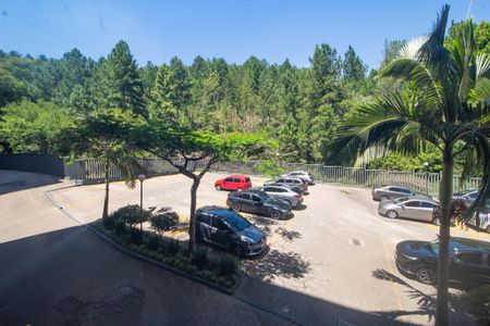 Apartamento à venda com 81m², 3 quartos e 1 vagaVista Varanda da Sala