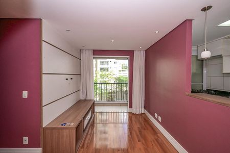 Sala de apartamento para alugar com 2 quartos, 55m² em Parque Reboucas, São Paulo