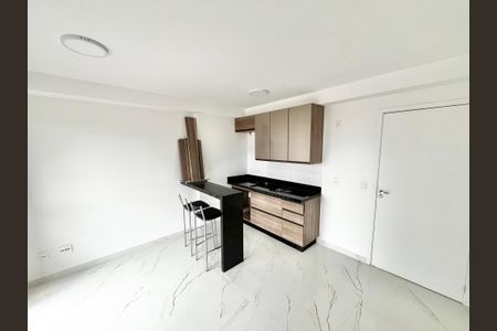 Sala/Cozinha/Quarto de kitnet/studio para alugar com 1 quarto, 31m² em Parada Inglesa, São Paulo