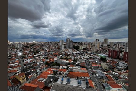 Studio para alugar com 31m², 1 quarto e sem vagaSala/Cozinha/Quarto Vista