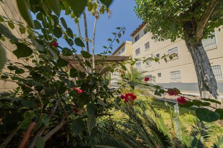 Apartamento à venda com 2 quartos, 60m² em Ponte Sao Joao, Jundiaí