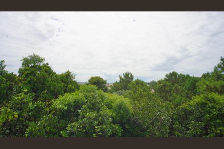 Vista  de apartamento para alugar com 2 quartos, 50m² em Vila Nova, Porto Alegre