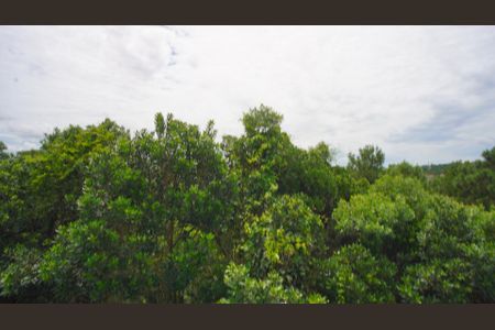 Apartamento para alugar com 50m², 2 quartos e 1 vagaVista 