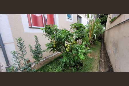 Apartamento à venda com 46m², 2 quartos e 1 vagapomar