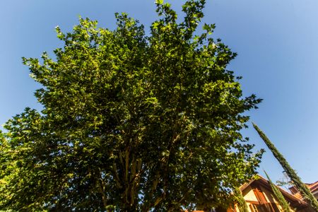 Casa de condomínio para alugar com 810m², 5 quartos e 6 vagas Casa de condomínio para alugar com 810m², 5 quartos e 6 vagasVista da Rua