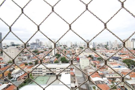 Apartamento para alugar com 80m², 3 quartos e 2 vagasVistas