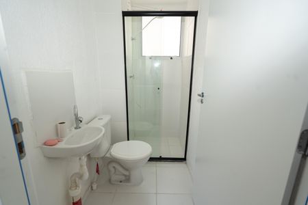Banheiro de apartamento para alugar com 2 quartos, 41m² em Passo das Pedras, Porto Alegre