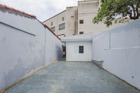 Casa para alugar com 250m², 3 quartos e 1 vagaQuintal