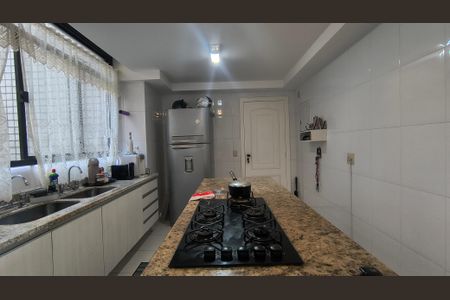 Apartamento para alugar com 326m², 5 quartos e 3 vagasCozinha e Área de Serviço 