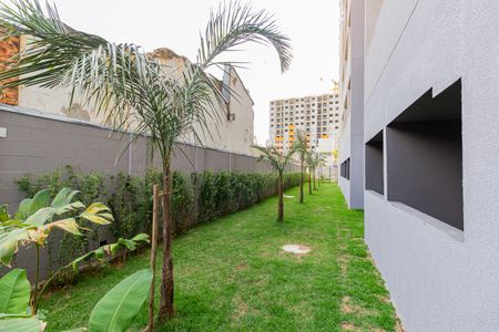 Apartamento para alugar com 40m², 2 quartos e sem vagaÁrea comum - Pet Place