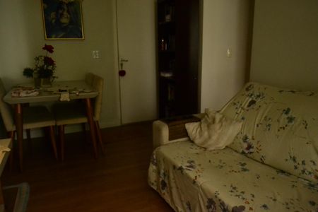 Sala de apartamento para alugar com 2 quartos, 49m² em Jardim Nena, Suzano