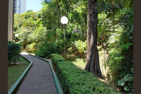 Apartamento para alugar com 69m², 3 quartos e 1 vagaÁrea comum