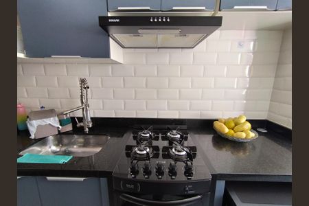 Apartamento à venda com 42m², 2 quartos e 1 vagaCozinha - Armários